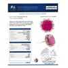 Image 5 : 13.76 Carat Natural Ruby and Diamond Halo Ring