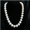 Image 1 : Graduated White South Sea Pearl Strand
