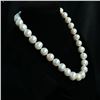 Image 2 : Graduated White South Sea Pearl Strand