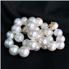 Image 3 : Graduated White South Sea Pearl Strand