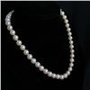 Image 2 : Forever Classic Short Pearl Strand