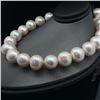 Image 4 : Graduating South Sea Pearl Strand -Toggle Clasp