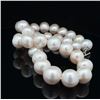Image 5 : Graduating South Sea Pearl Strand -Toggle Clasp