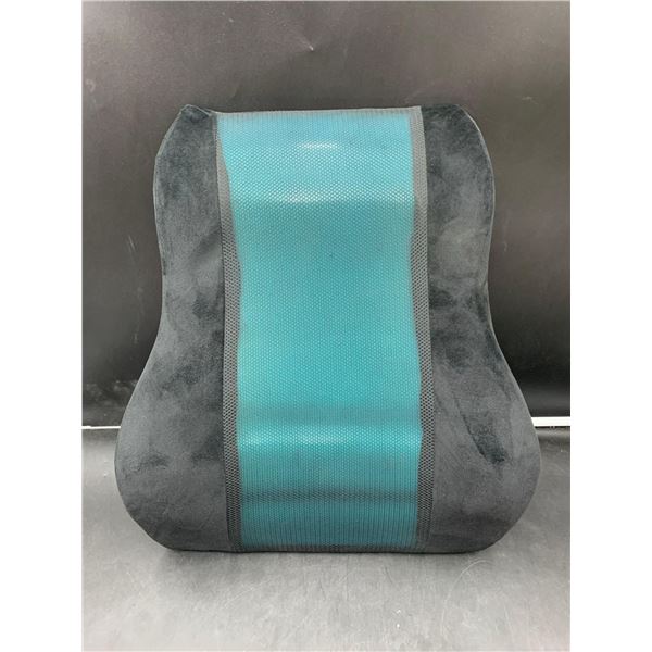 Samsonite Pillow