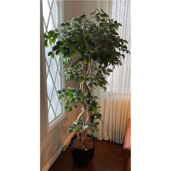 Artificial Indian Laurel Tree 70Hx33W