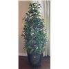 Image 1 : Artificial Laurel Tree With Ceramic Pot On Caster Wheels 55Hx22W