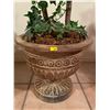 Image 2 : Artificial Weeping Fig Tree In Decorative Ceramic Container 70Hx34W