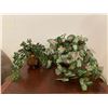 Image 1 : Assorted Collection Of Artificial Plants. English Ivy & Brass Decor Container & Prayer Plant