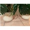 Image 2 : Matching Set of Artificial Monstera Trees's in White Containers 40H x 17W