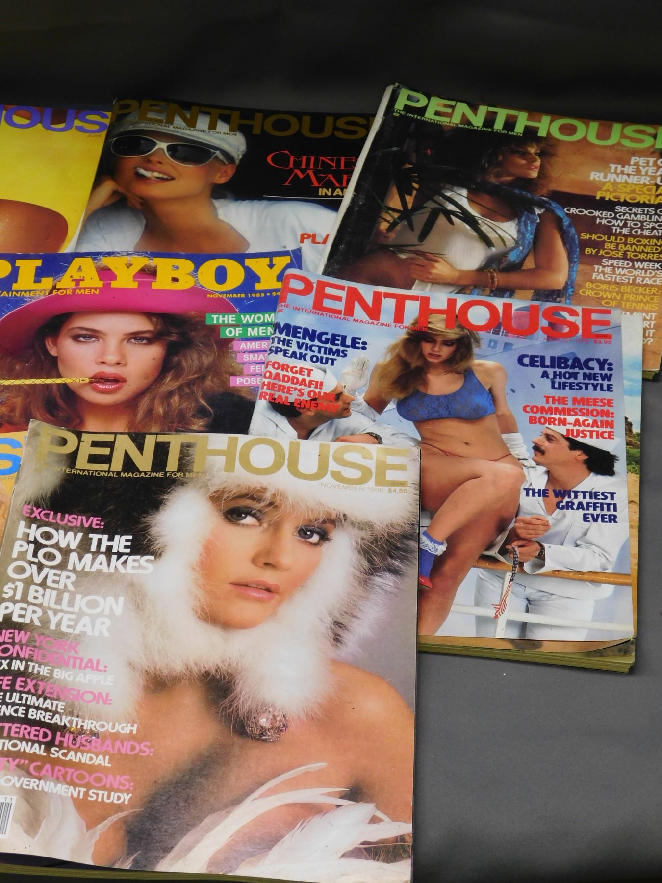 Stunning Penthouse Culture Magazine image