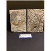 Image 2 : LOT OF 2-EGYPTIAN RAMOSE VIZIER AMENHOTEP 13"x 9"