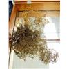 Image 3 : Assorted ivory artifacts; very rare handmade net; sinew line (500)