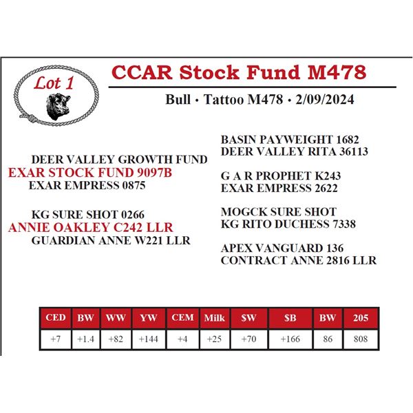 CCAR Stock Fund M478