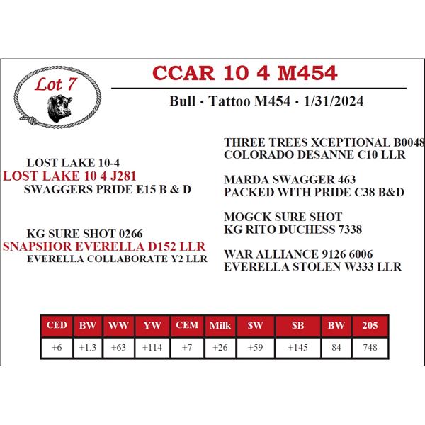 CCAR 10 4 M454