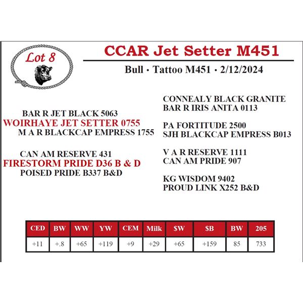 CCAR Jet Setter M451