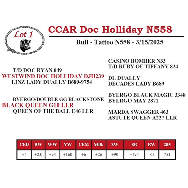 CCAR Doc Holliday N558
