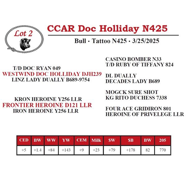 CCAR Doc Holliday N425