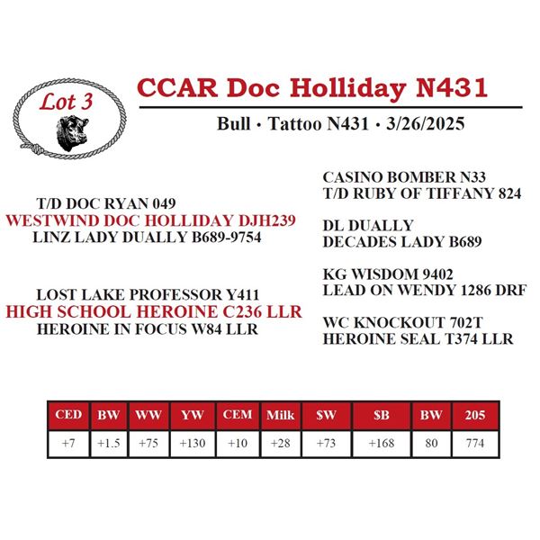 CCAR Doc Holliday N431