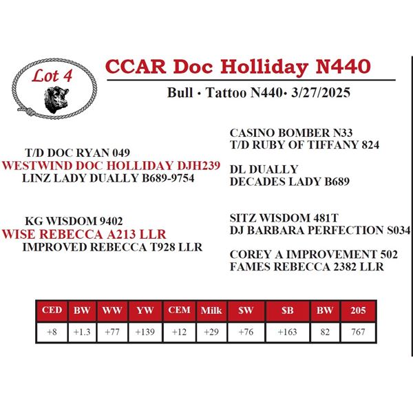 CCAR Doc Holliday N440