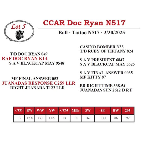 CCAR Doc Ryan N517