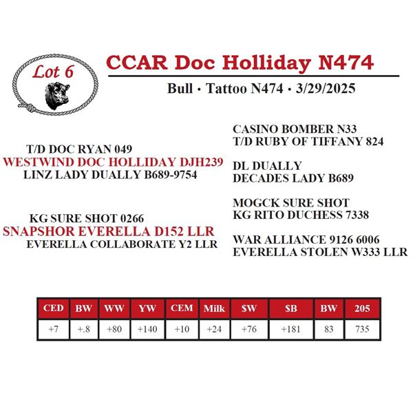 CCAR Doc Holliday N474