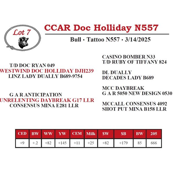 CCAR Doc Holliday N557