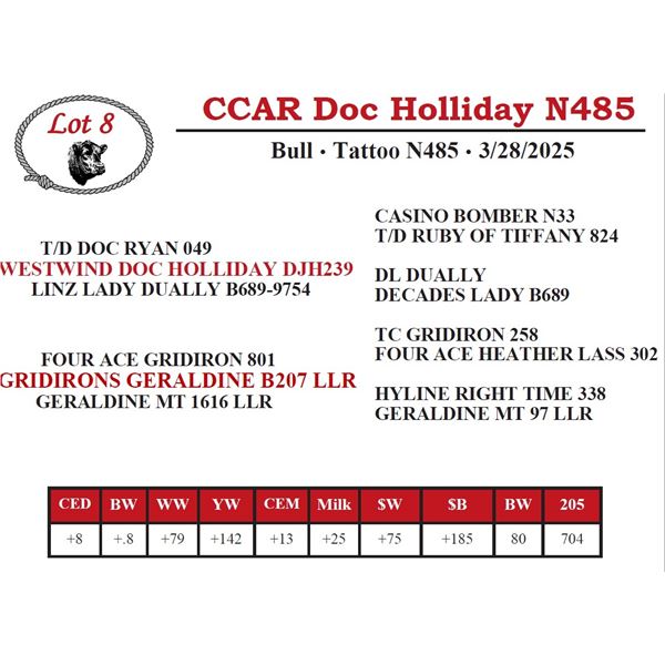 CCAR Doc Holliday N485