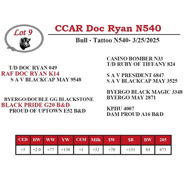 CCAR Doc Ryan N540