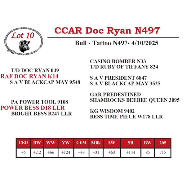 CCAR Doc Ryan N497