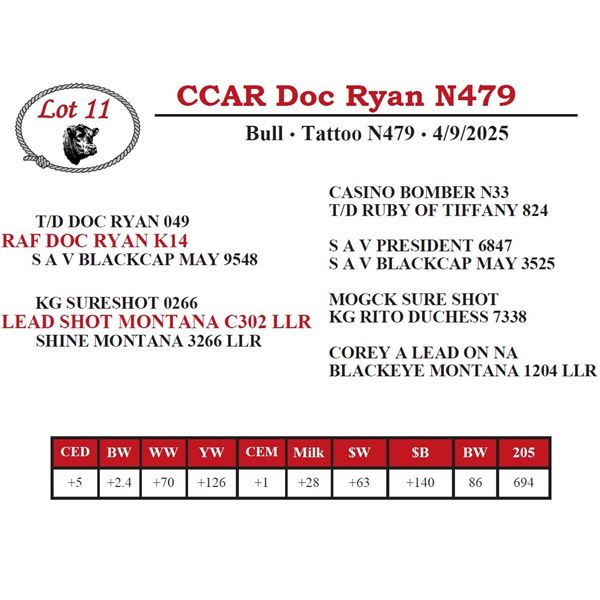 CCAR Doc Ryan N479
