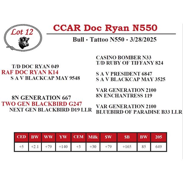 CCAR Doc Ryan N550