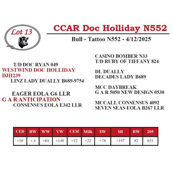 CCAR Doc Holliday N552