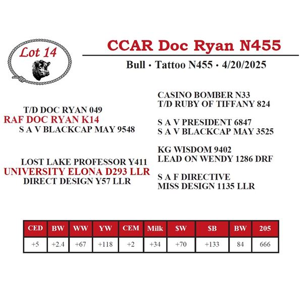 CCAR Doc Ryan N455