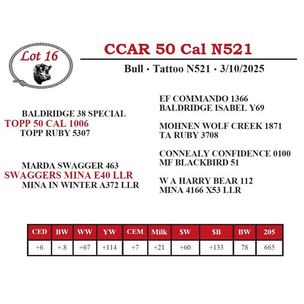 CCAR 50 Cal N521