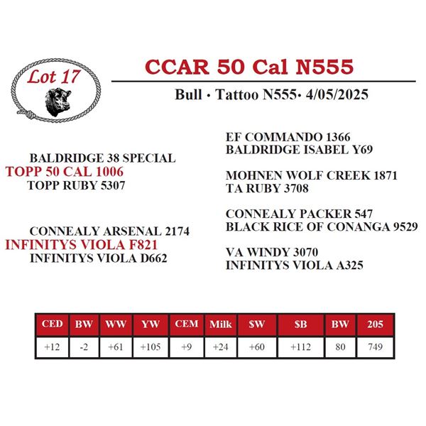 CCAR 50 Cal N555