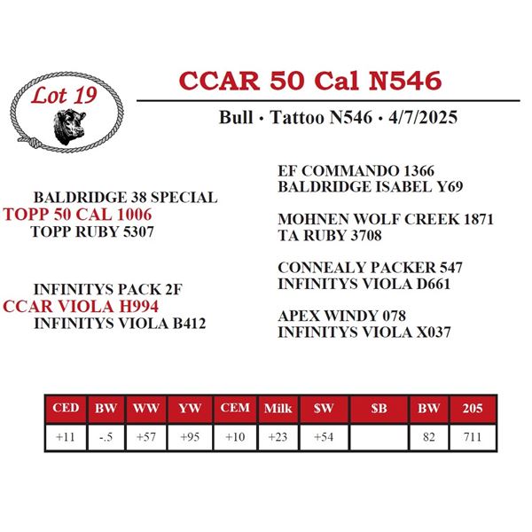 CCAR 50 Cal N546