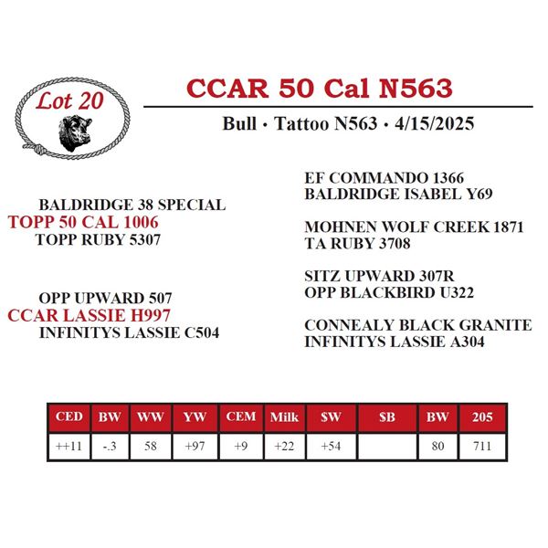 CCAR 50 Cal N563