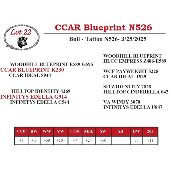 CCAR Blueprint N526