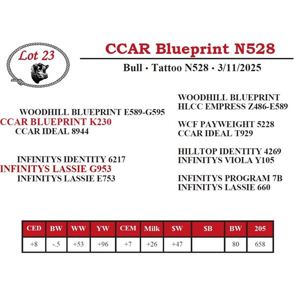CCAR Blueprint N528
