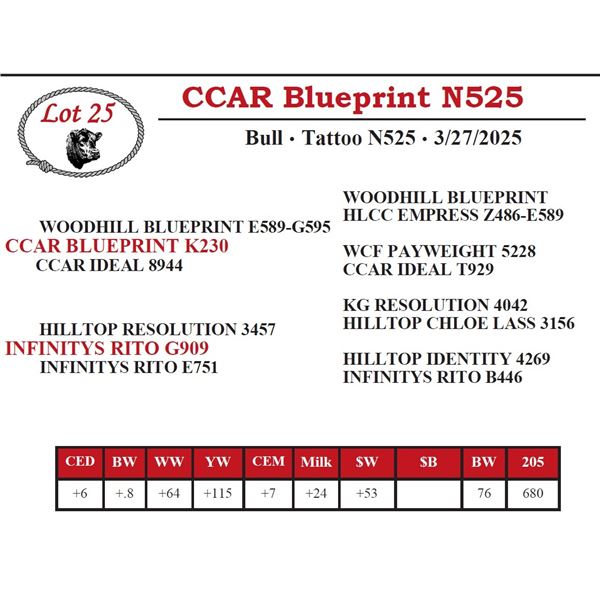 CCAR Blueprint N525