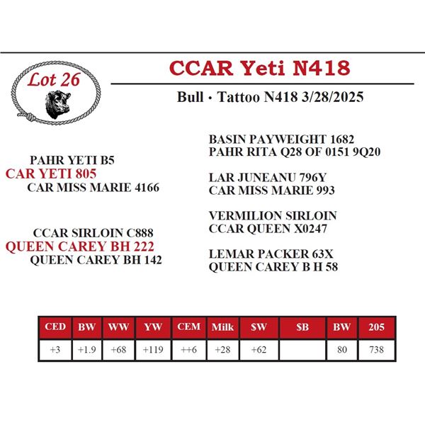 CCAR Yeti N418