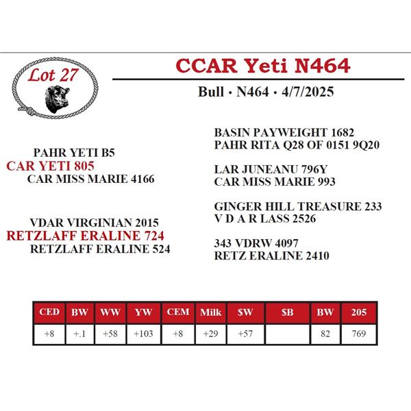 CCAR Yeti N464