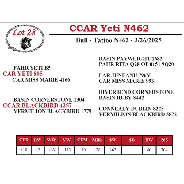 CCAR Yeti N462