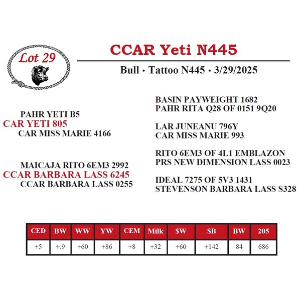 CCAR Yeti N445