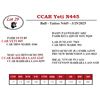 Image 1 : CCAR Yeti N445