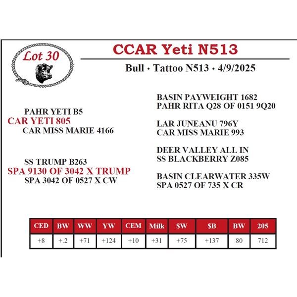 CCAR Yeti N513