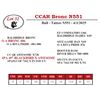 Image 1 : CCAR Bronc N551