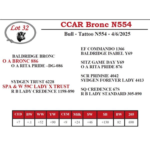 CCAR Bronc N554