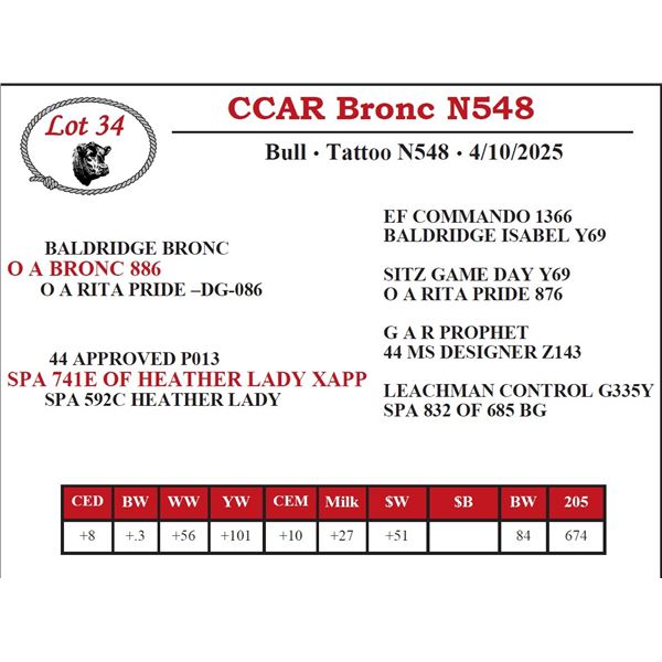 CCAR Bronc N548