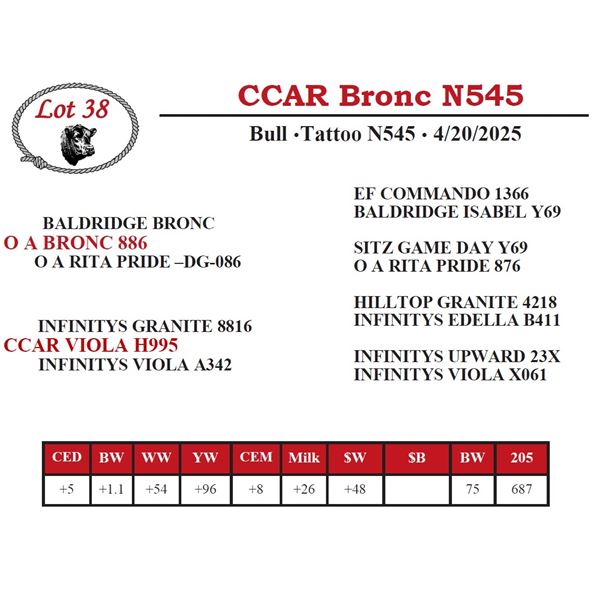 CCAR Bronc N545